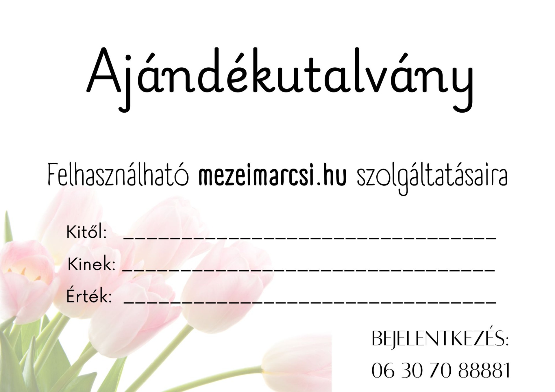 Ajándékutalvány 5